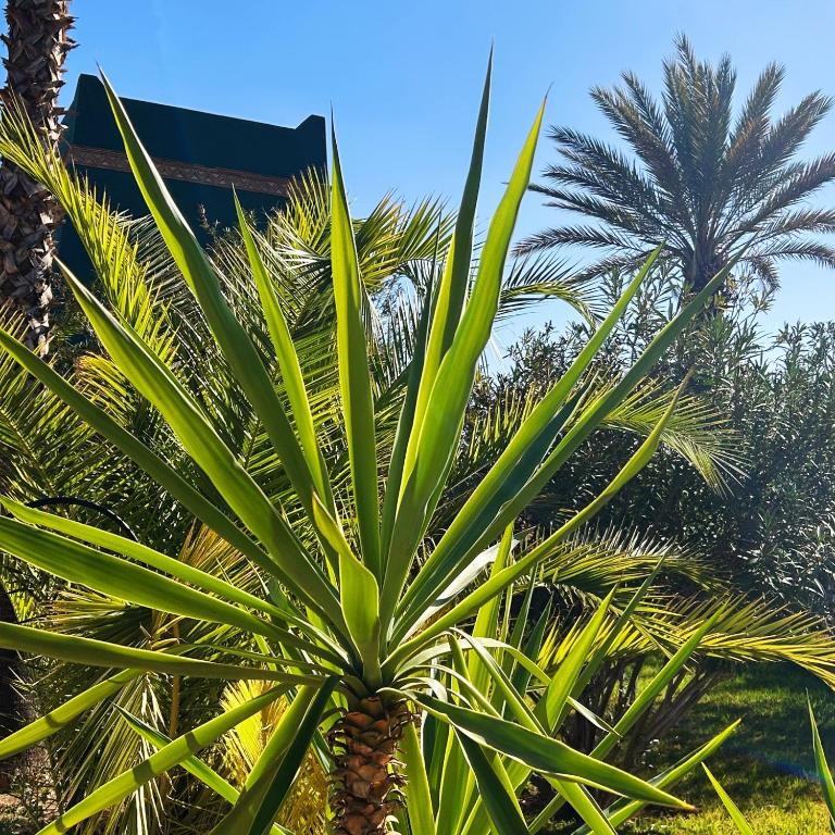 Zahrada ubytování Les Jardins D'issil