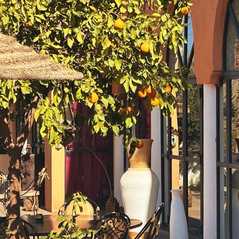 Fotografie z fotogalerie ubytování Les Jardins D'issil v Marrákéši