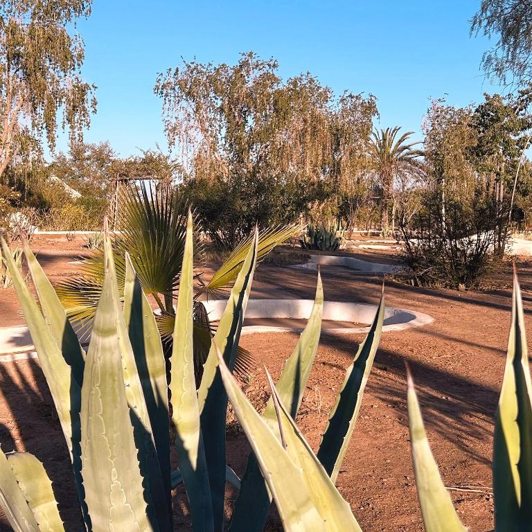 Zahrada ubytování Les Jardins D'issil