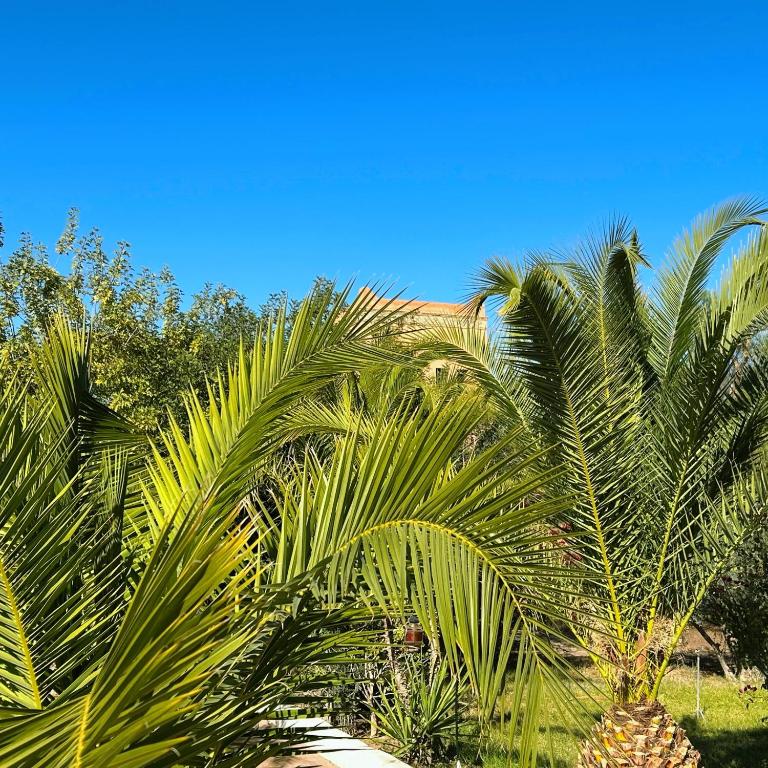 Zahrada ubytování Les Jardins D'issil