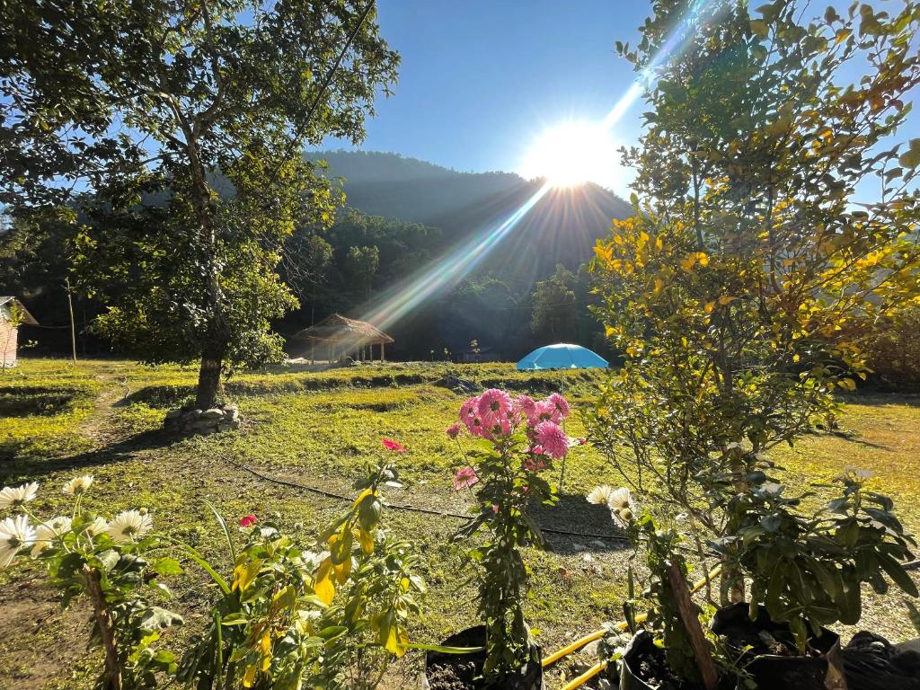 widok na słońce świecące na polu z kwiatami w obiekcie Miknaon River Retreat w mieście Pedong