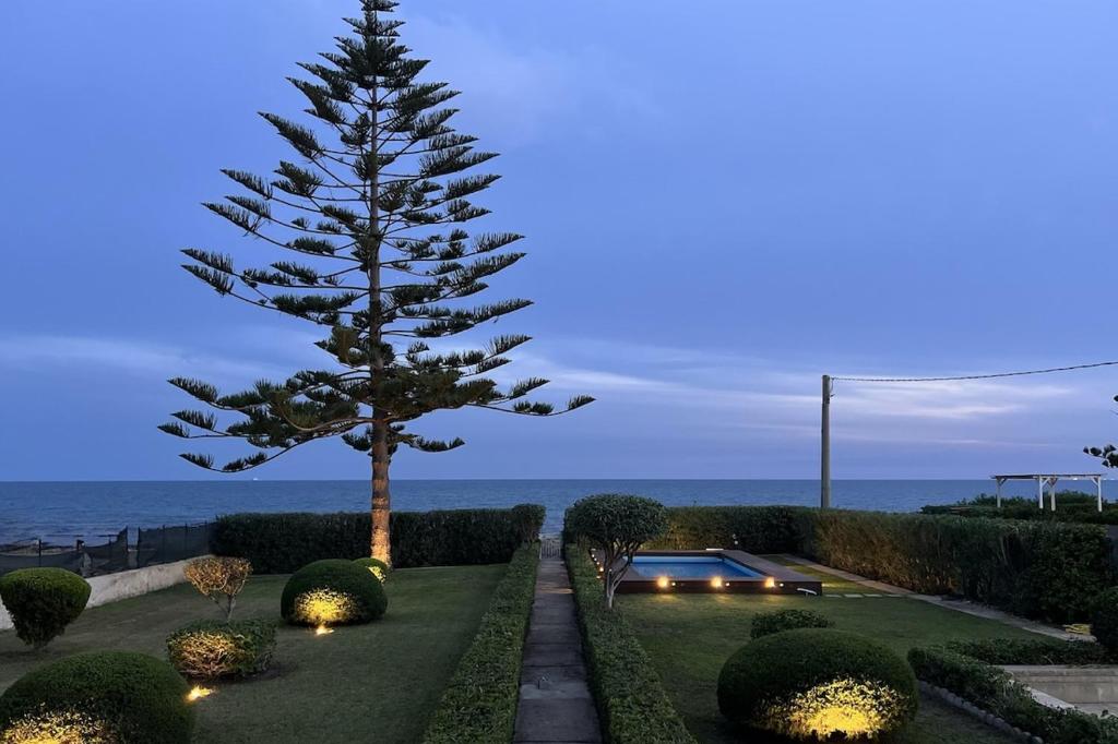 a pine tree in a garden with lights at Breathtaking View - IsulaTravel in Marina di Modica