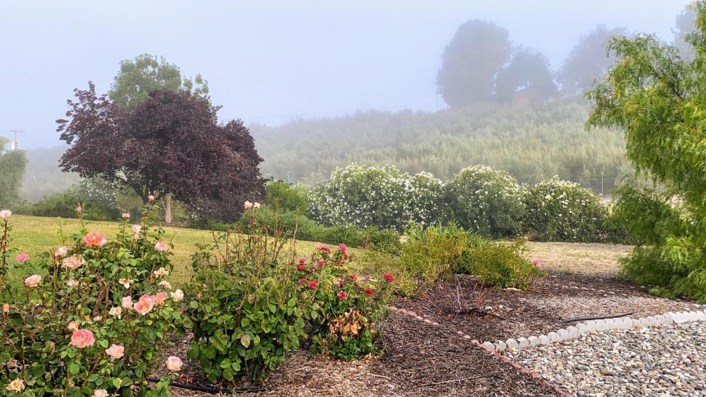 a garden with flowers and trees in the background at Vista Vine Cottage in San Miguel