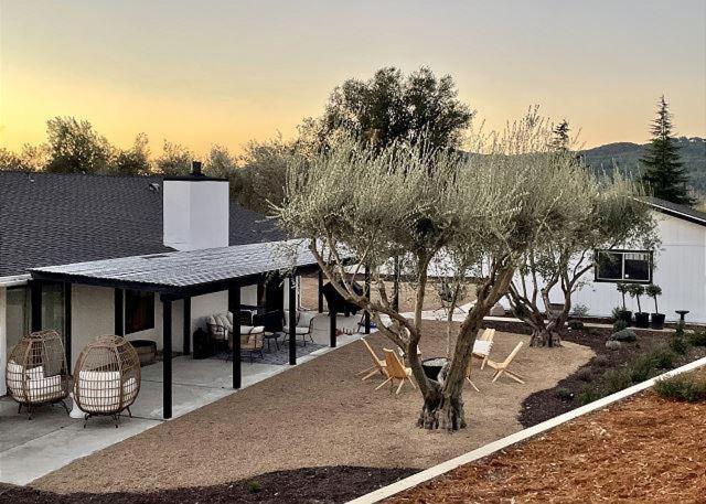 una casa con sillas y un árbol en el patio en Olive and Stone, en Templeton