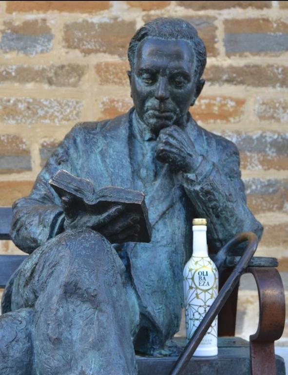 Apartamentos Turísticos El AOVE - 17