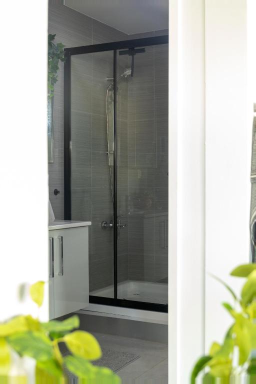 Fotografie z fotogalerie ubytování Kindvriendelijke 3 slaapkamer appartementen met zwembad, tropische tuin en vlakbij stranden v destinaci Willemstad