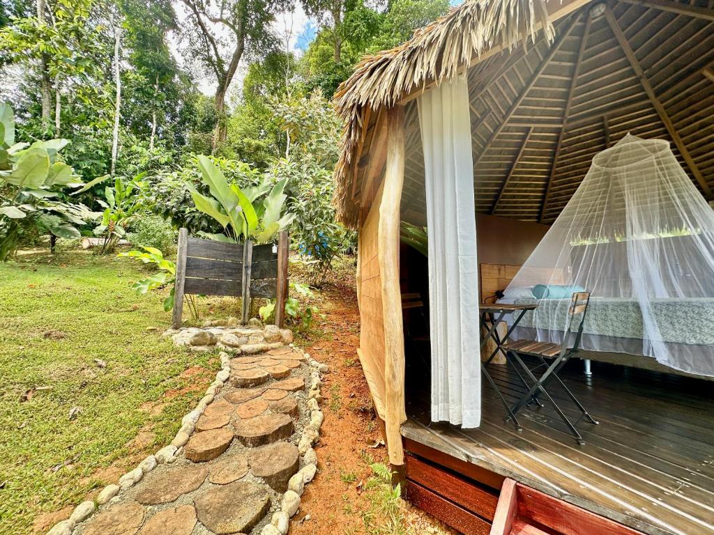 Zahrada ubytování Finca Terra Incognita - Wood cabins in the jungle