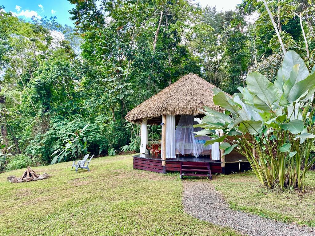 Zahrada ubytování Finca Terra Incognita - Wood cabins in the jungle