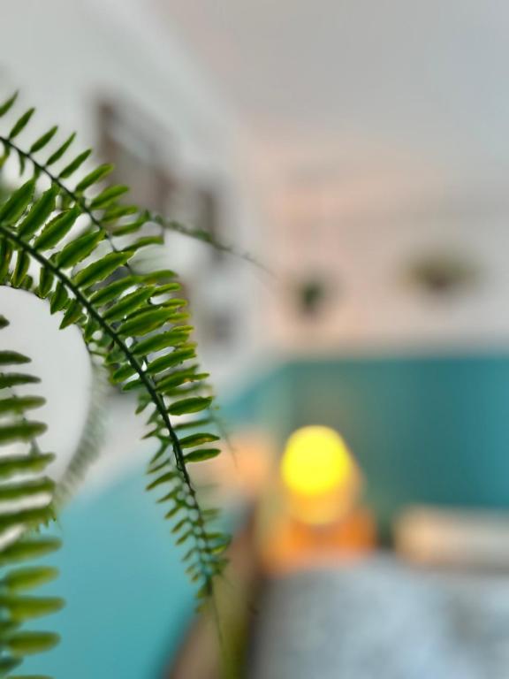 Fotografie z fotogalerie ubytování Bed & café Petit Papillon v destinaci Grandes-Bergeronnes