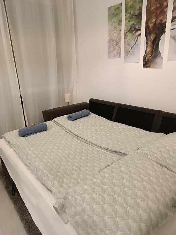Postel nebo postele na pokoji v ubytování Silver apartman