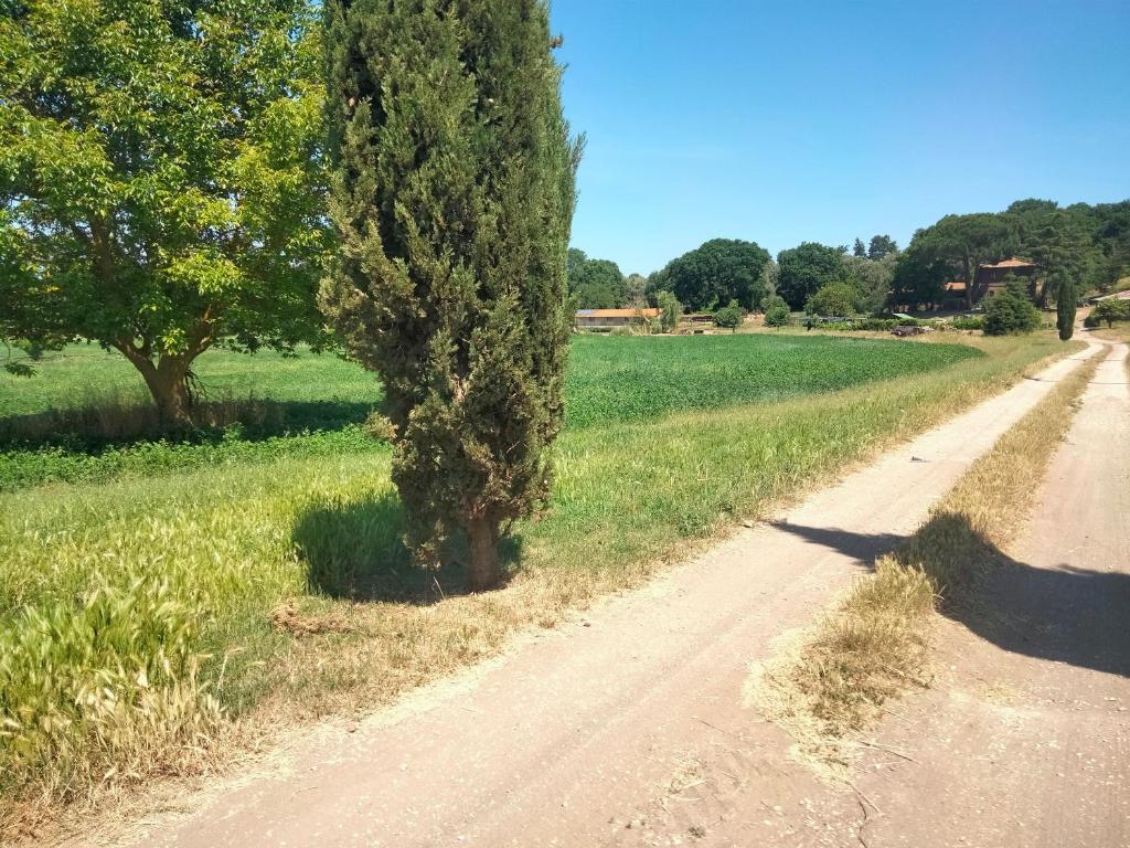 Φυσικό τοπίο κοντά σε αυτή η παραθεριστική κατοικία