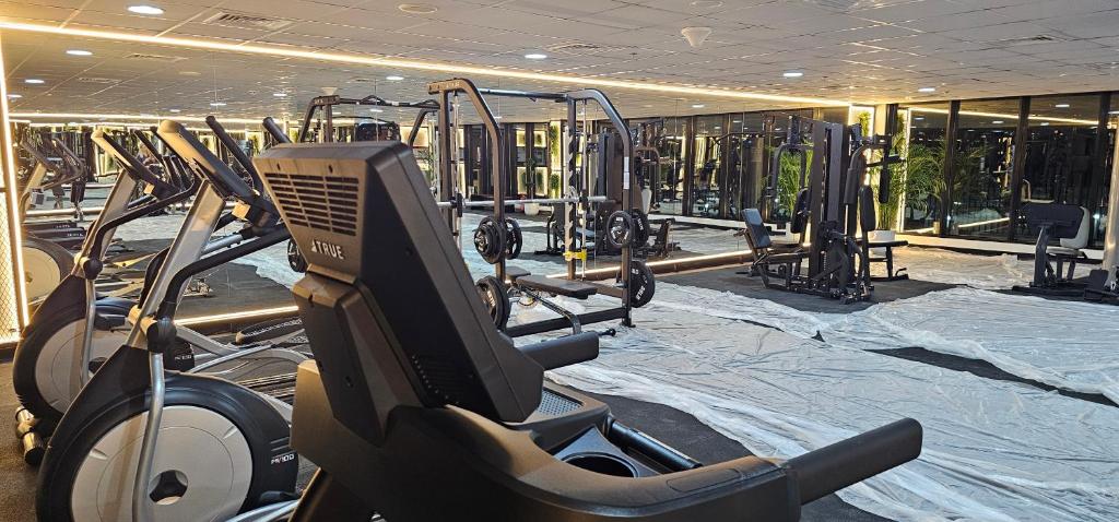 Fitness centrum a/nebo fitness zařízení v ubytování Unique studio E16