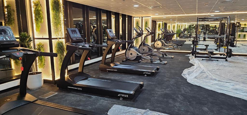 Fitness centrum a/nebo fitness zařízení v ubytování Unique studio E16