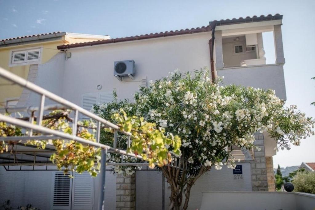 Apartments with parking space Barbat, Rab - 23817