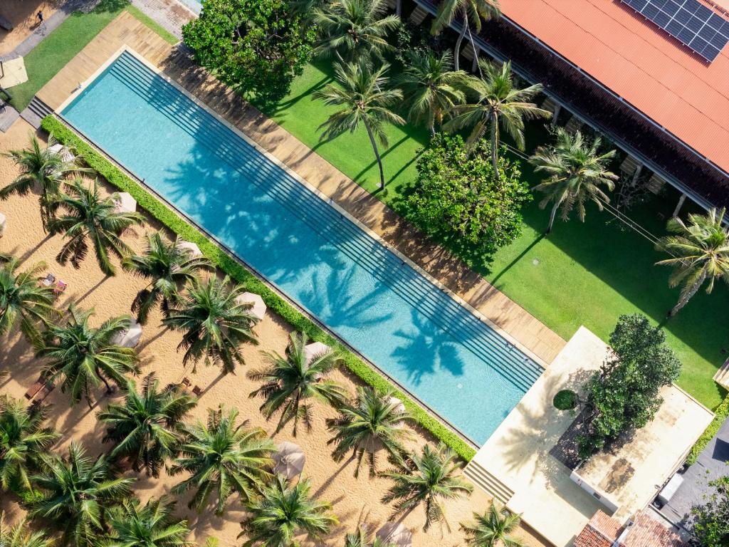 an overhead view of a swimming pool with palm trees at Jetwing Beach in Negombo
