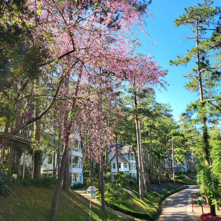 ein Haus inmitten einer Straße mit Bäumen in der Unterkunft Lan Anh Villas Resort in Da Lat