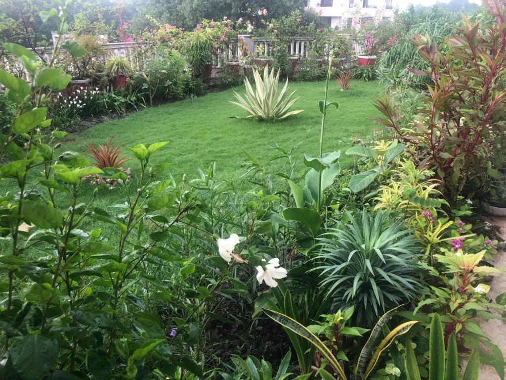 einen Garten mit einer Wiese mit Blumen und Pflanzen in der Unterkunft Home away from Home in Varanasi