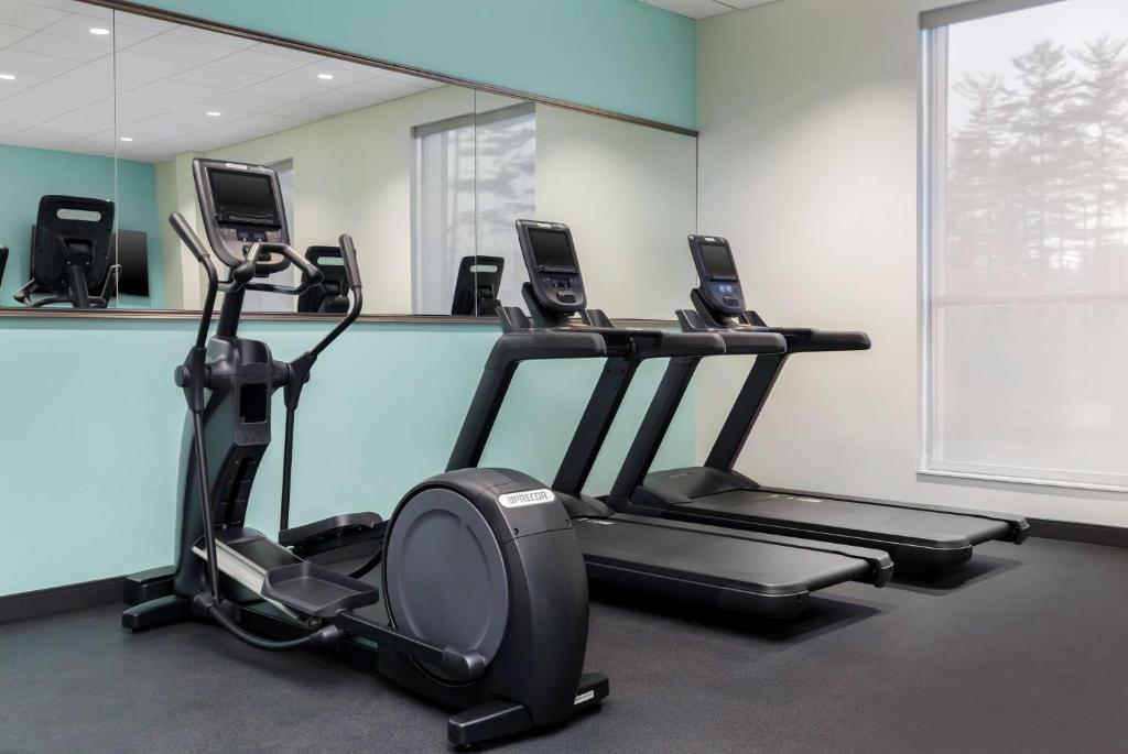 Fitness centrum a/nebo fitness zařízení v ubytování Tru By Hilton Bracebridge, On