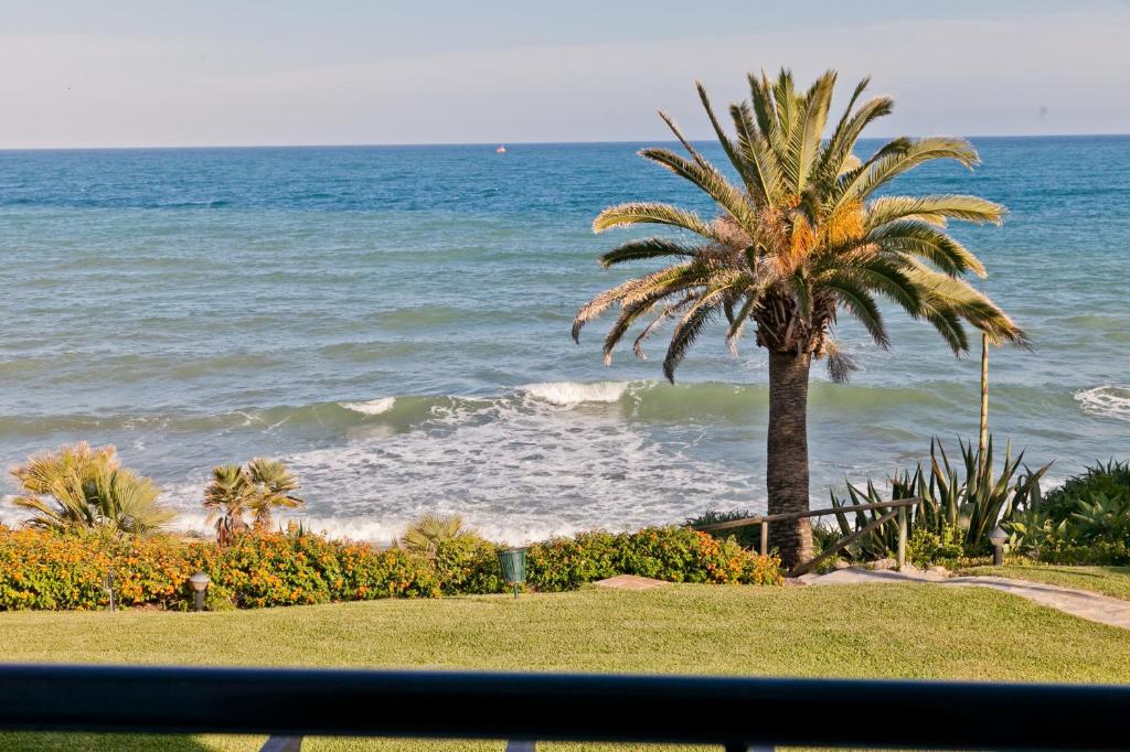 una palmera en la playa con el océano en Holiday Home Clarisa, en Estepona