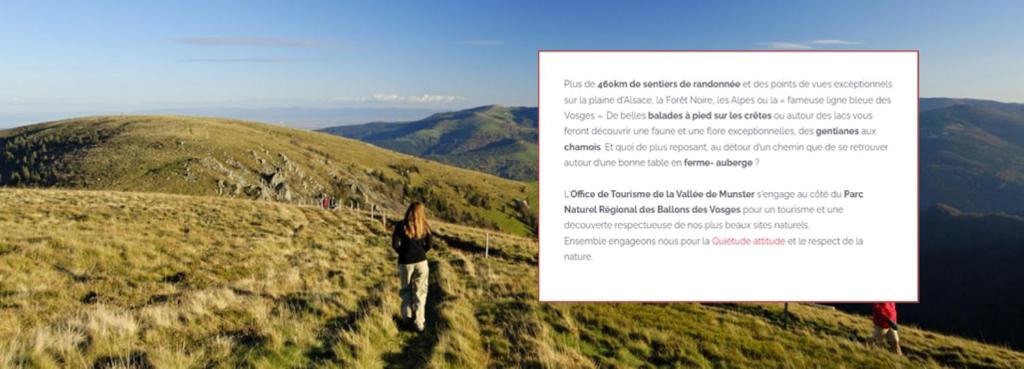 MUNSTER camping de la FECHT – photo 19