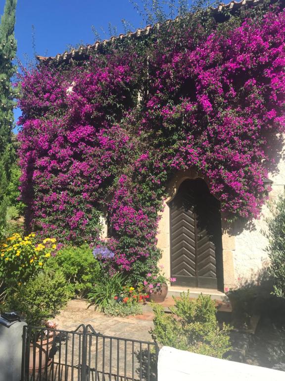 un bâtiment avec des fleurs violettes sur son côté dans l'établissement Les Hameaux de Propriano, à Propriano