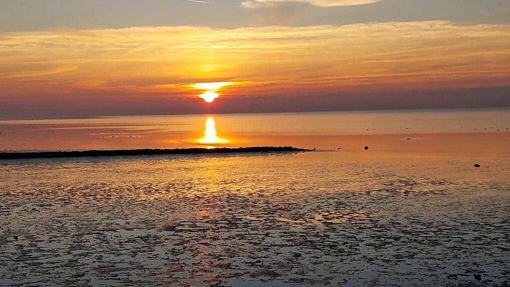 Naturlandskabet i nærheden af lejligheden