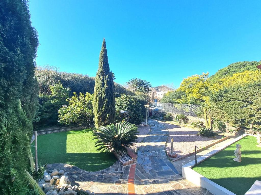 un jardin avec un palmier et un sentier dans l'établissement Maison bord de mer climatisée avec jardin, parking et WiFi à Port-Vendres - FR-1-309-7, à Port-Vendres