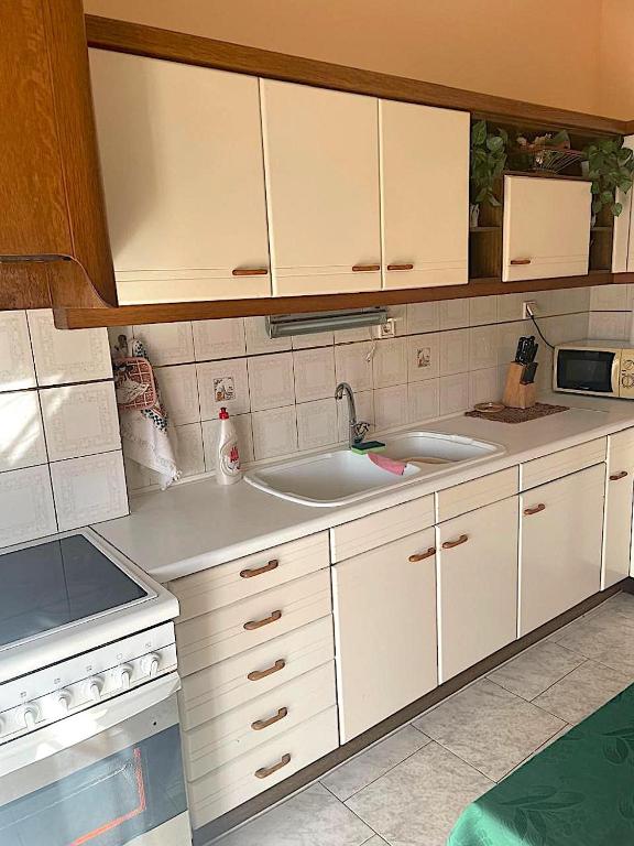 Kuchyň nebo kuchyňský kout v ubytování Friendly Family House