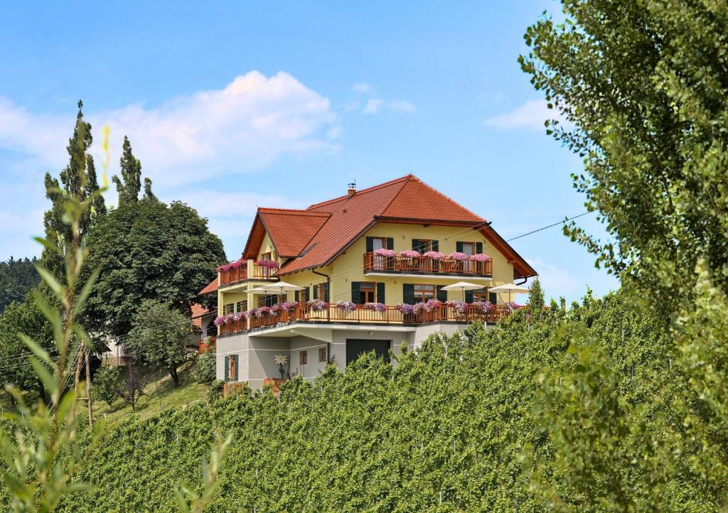a house on top of a hill with vines at Farm Stay Jarc Vineyard in Svečina