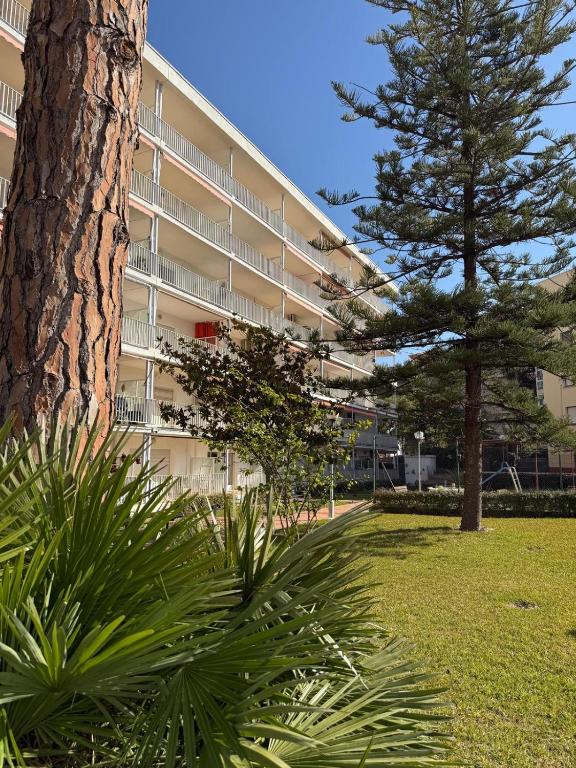 Apartamentos Hesperia Palmyra
