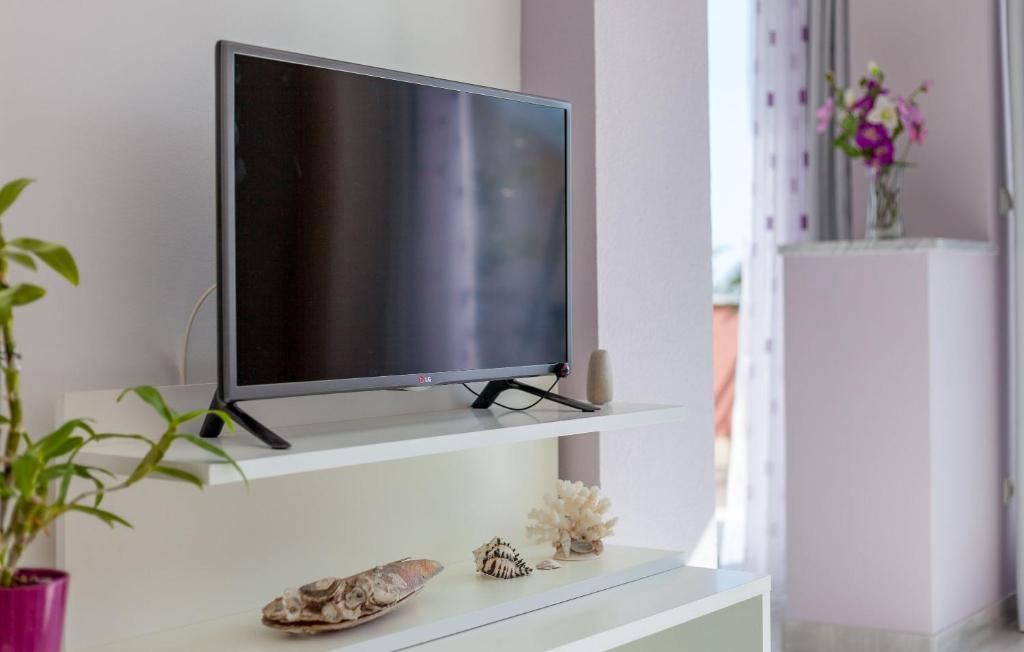 TV a/nebo společenská místnost v ubytování Apartments Kike