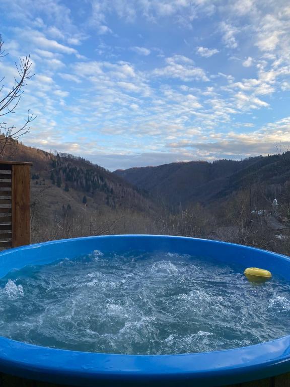 a blue tub with a yellow frisbee in it at Gap Mountain House in Săgagea