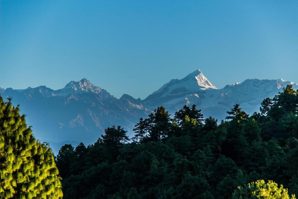 a view of a forest with mountains in the background at Hotel Everest Window View in Nagarkot