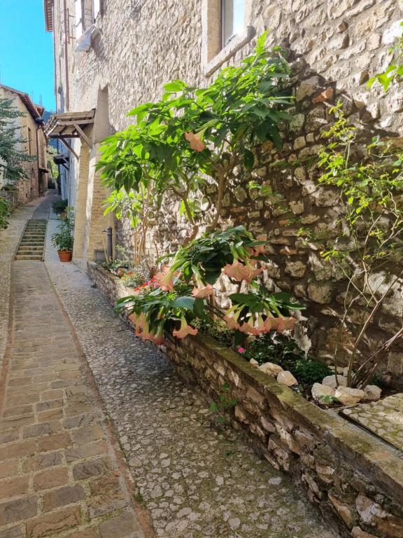 Fotografie z fotogalerie ubytování Cuore del Castello v destinaci Arrone