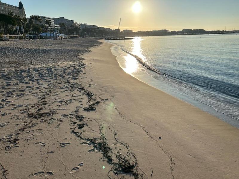 une plage au soleil se levant sur l'eau dans l'établissement Elegant studio a 50m de la Croisette et ses plages - Ada Serenity Beach, à Cannes