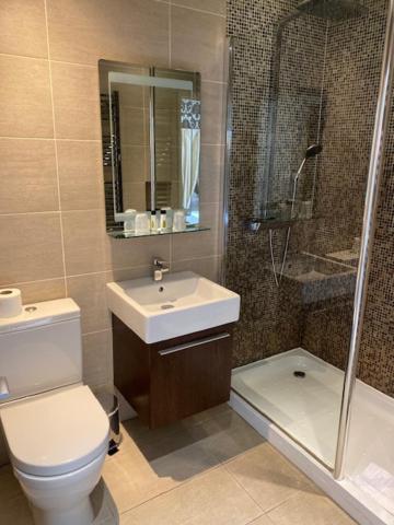 Stags Head Hotel - Resim 40