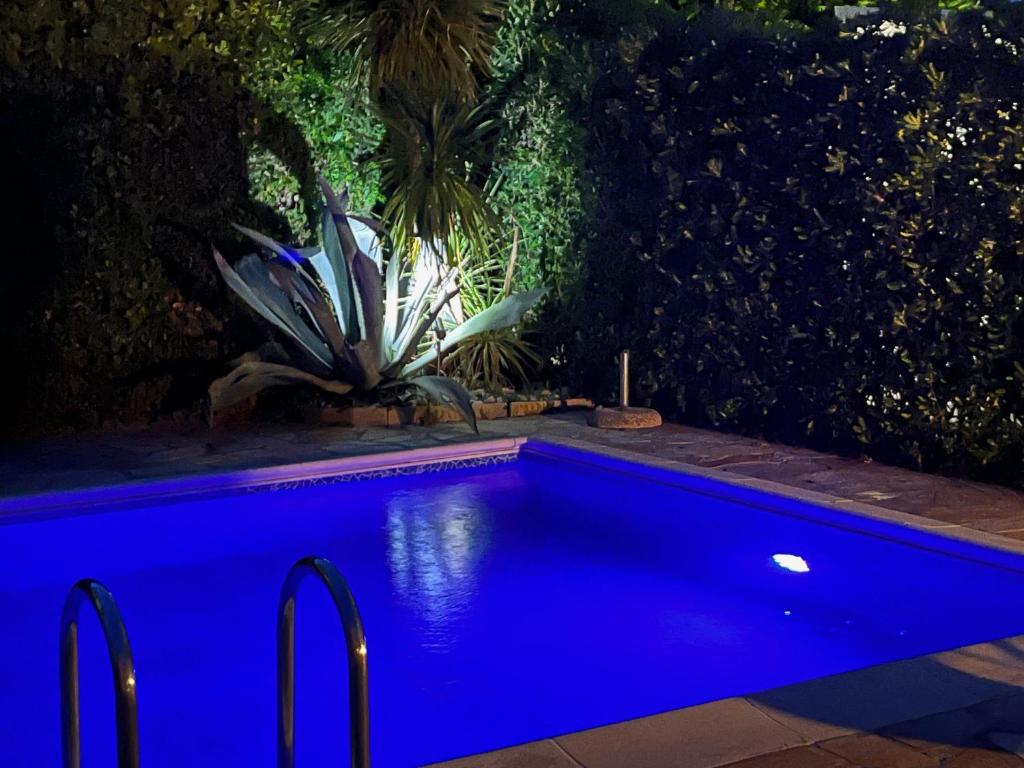 a blue swimming pool at night with a plant at Casa delle famiglie in Isola Albarella