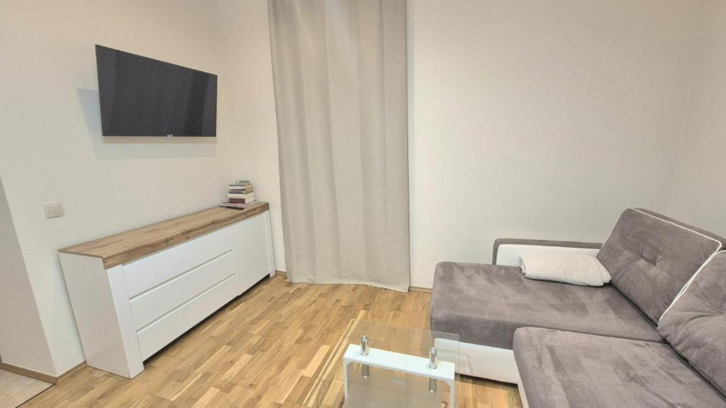 Televízia a/alebo spoločenská miestnosť v ubytovaní Topolowa Apartament z klimatem- Topolowa/Rynek/PKP