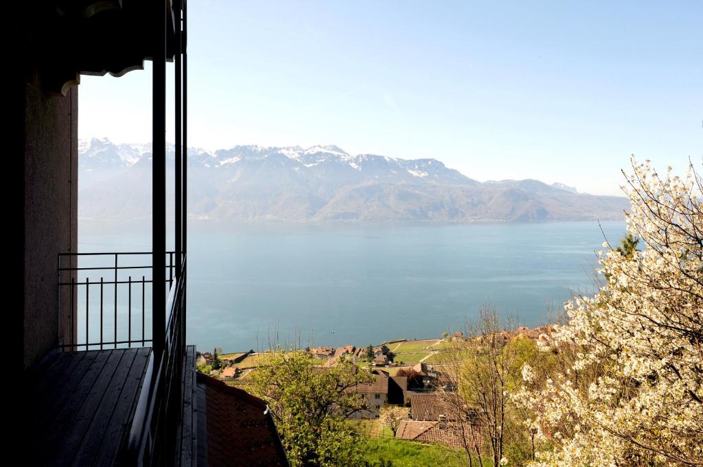 Hôtel Prealpina photo