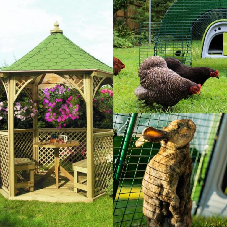 Zvířata v aparthotelu nebo okolí