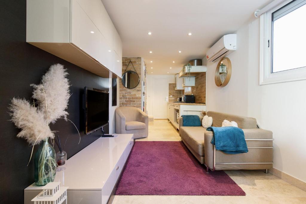 un salon avec un canapé et une télévision dans l'établissement Immogroom - Maisonette - T3 - AC - Wifi, à Cannes