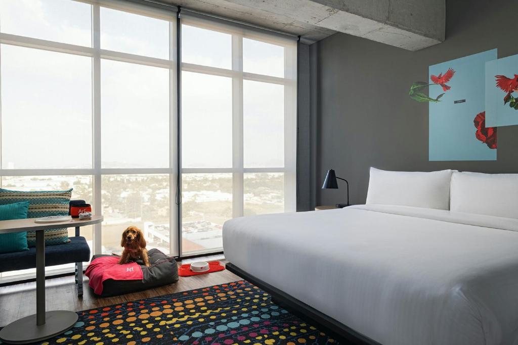 Aloft by Marriott Guadalajara Sur - Savvy, Suite, 1 Cama King