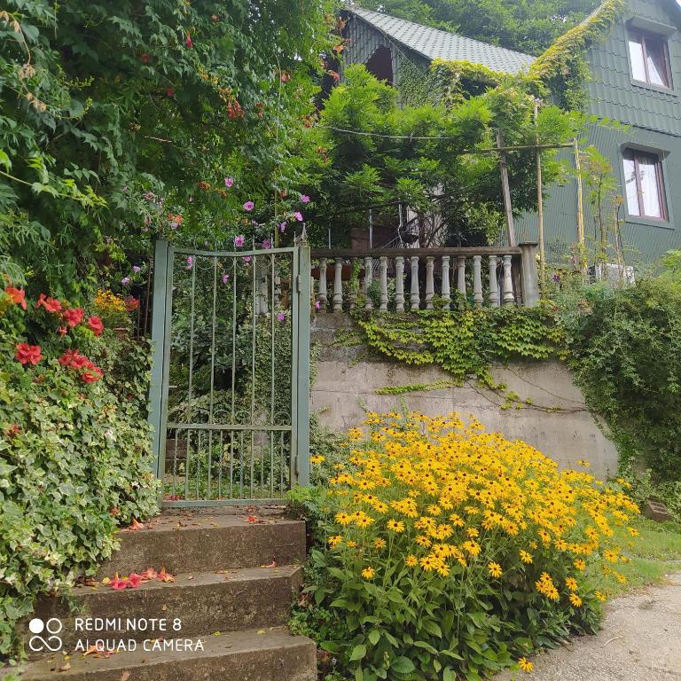 Zahrada ubytování Holiday chalet