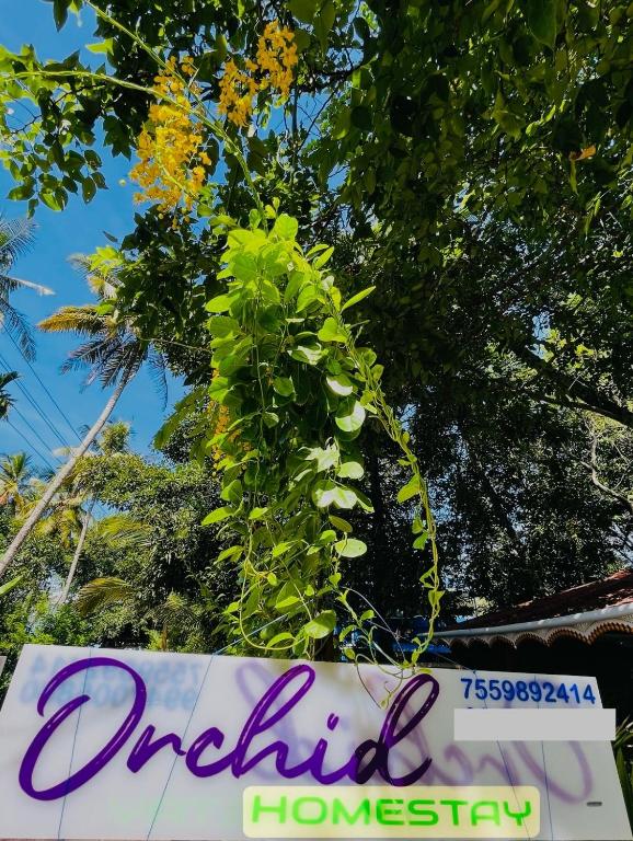 Fotografie z fotogalerie ubytování Orchid Home Stay v destinaci Cherai Beach