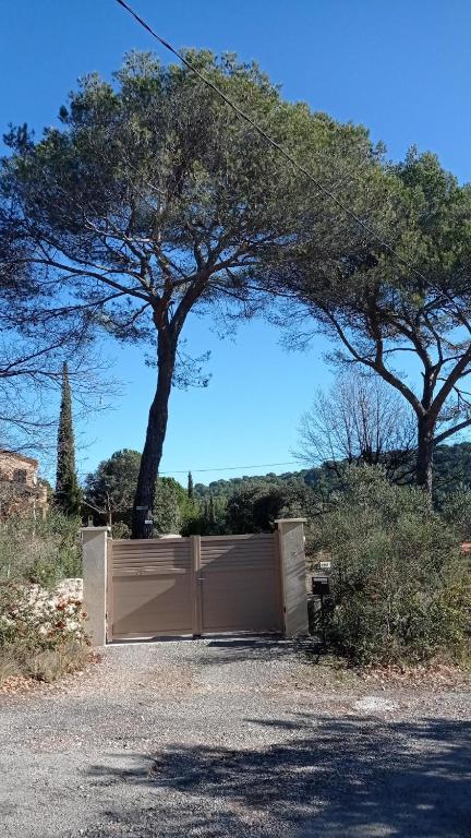 une porte dans une allée avec un arbre derrière elle dans l'établissement Les Cigales, à Villelaure