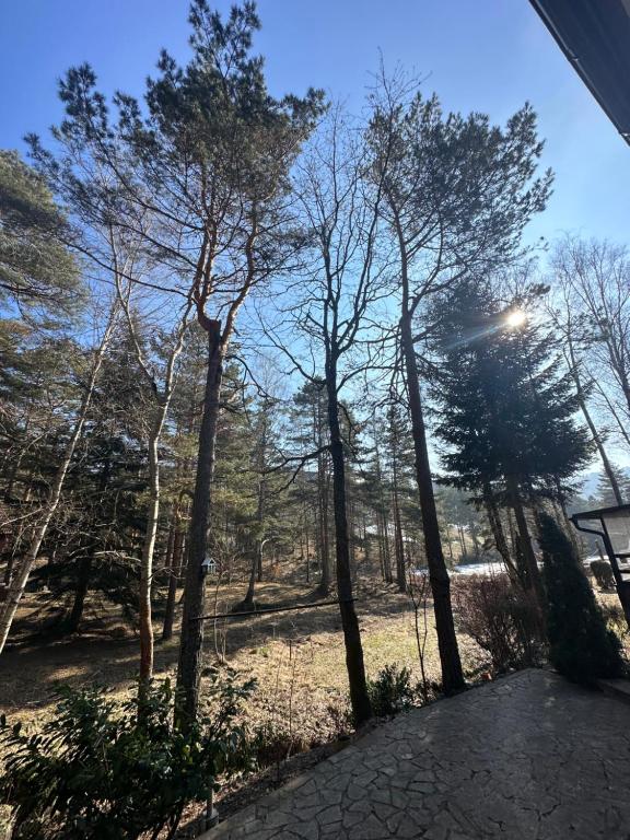 Un paisaje natural cerca del departamento