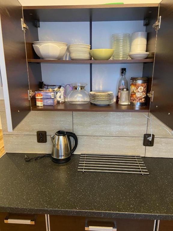 Kuchyň nebo kuchyňský kout v ubytování Apartmán Orlické hory