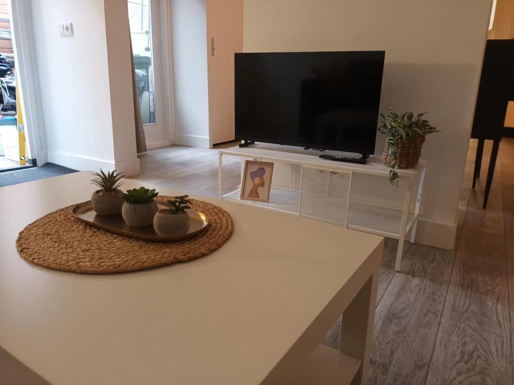 a living room with a tv and a table with plants at cute apartament city center in Gouda