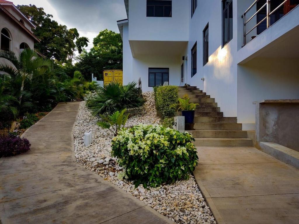 Κήπος έξω από το The Willow Apartment