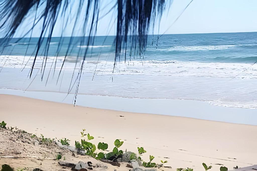 a view of the beach with a palm tree at Licuri Praia de Algodões à poucos passos do mar. in Marau